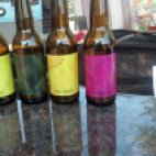 Our Backyard Beer - Hops Vertical Tasting. Thanks to the folks at Sonoma Cellars for stocking all of these special Mikkeller IPAs. Pictured here are Magnum, Palisade, Challenger and Tettnanger. What was our favorite? I don't recall.
